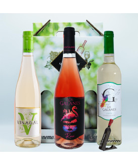 PACK SURTIDO VERANO