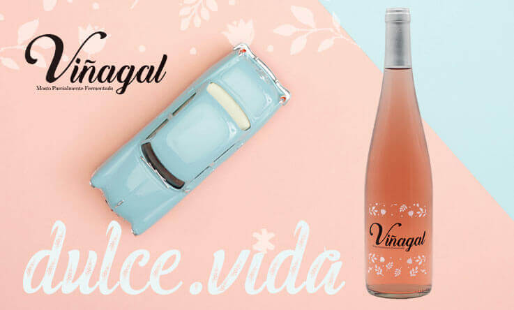 THE NEW VIÑAGAL ROSADO IS READY TO TASTE